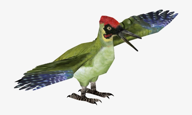 European Green Woodpecker - Parrot, transparent png download