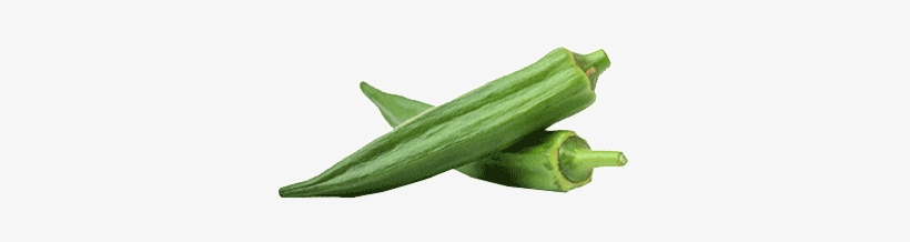8994-pg - Transparent Okra, transparent png download