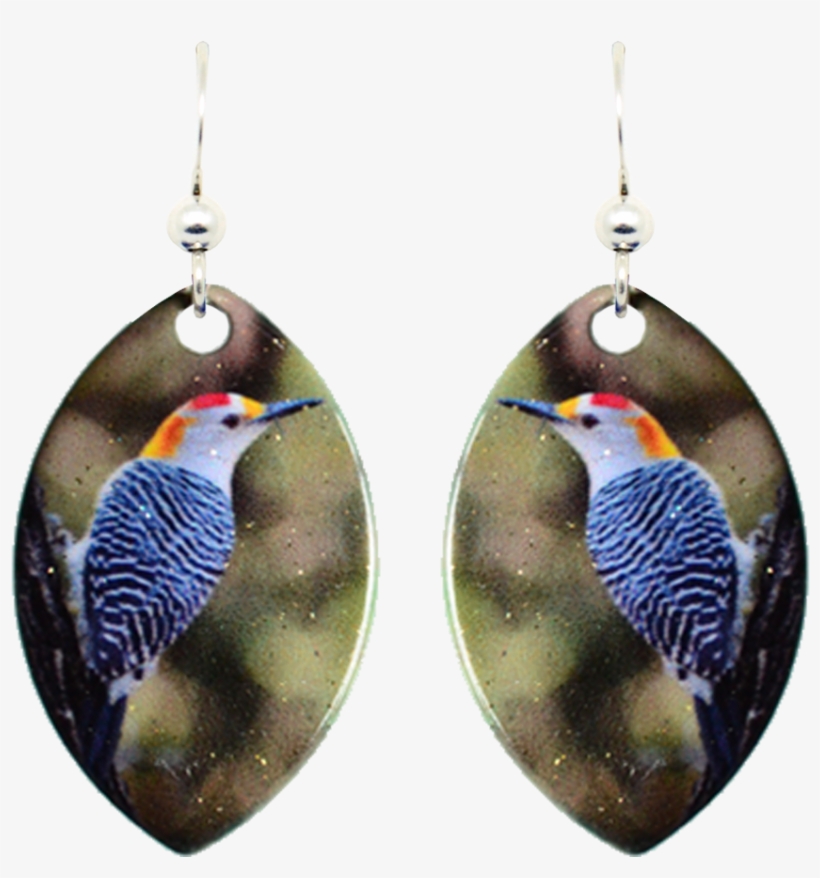 Golden-fronted Woodpecker - Earrings, transparent png download