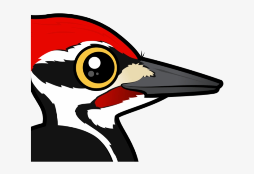 Woodpecker Clipart Red Headed Woodpecker - Birdorable Pileated Specht Kissen, transparent png download