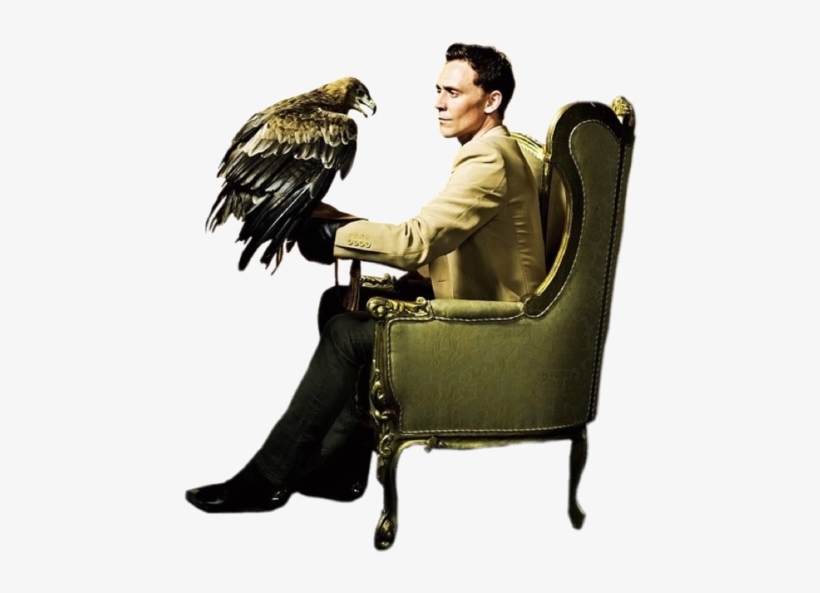 Go Back Gt Pix For Gt Tom Hiddleston Transparenttom - Tom Hiddleston, transparent png download