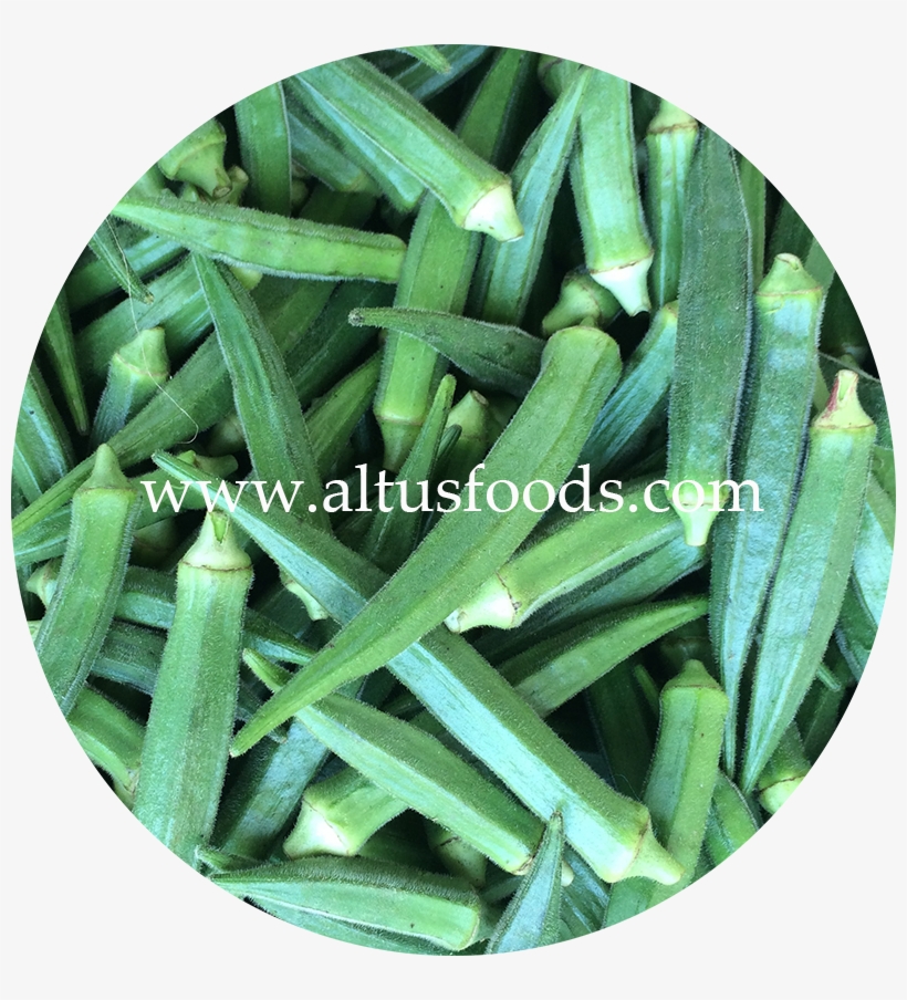 Fresh Indian Okra - Okra, transparent png download