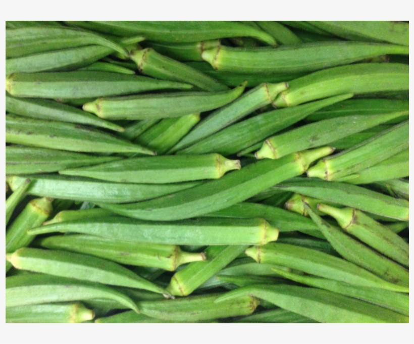 0 Okra Vegetable In German PNG Image Transparent PNG Free Download