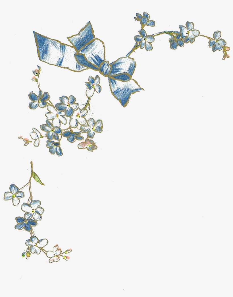 Free Flower Graphic - Vintage Forget Me Not, transparent png download