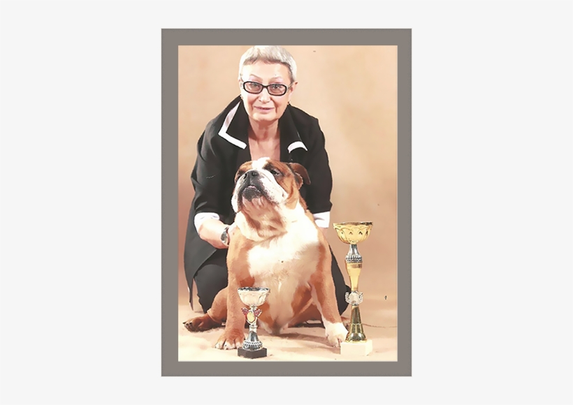 Since 1982 My Heart Belongs To My Favorite Breed - Olde English Bulldogge, transparent png download