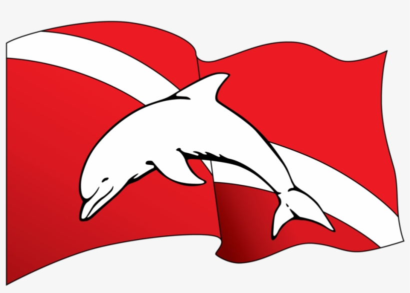 Birthday Gift Cards - Beach Cities Scuba, transparent png download