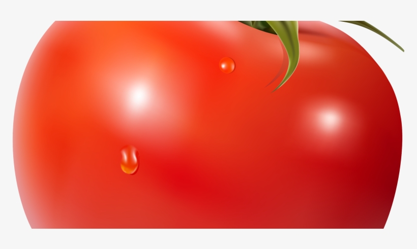 Posts Tagged 'guy Fawkes' - Soup, transparent png download