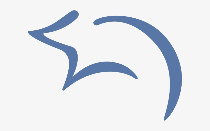 Get The Latest Coupons, Discounts And Free Gifts, transparent png download