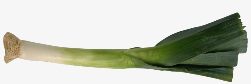 Leek Png, transparent png download