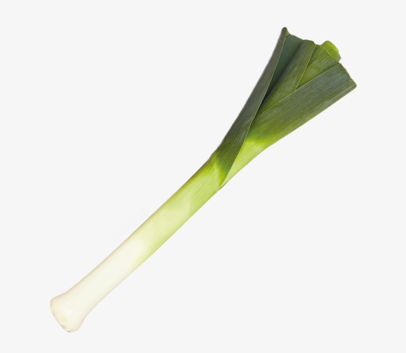 Leek Png - Transparent Leek, transparent png download