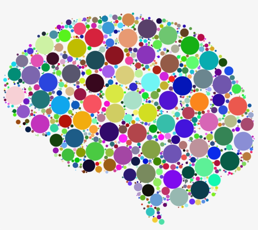 Mythbusting, Neuroscience And A Woman's Brain With, transparent png download