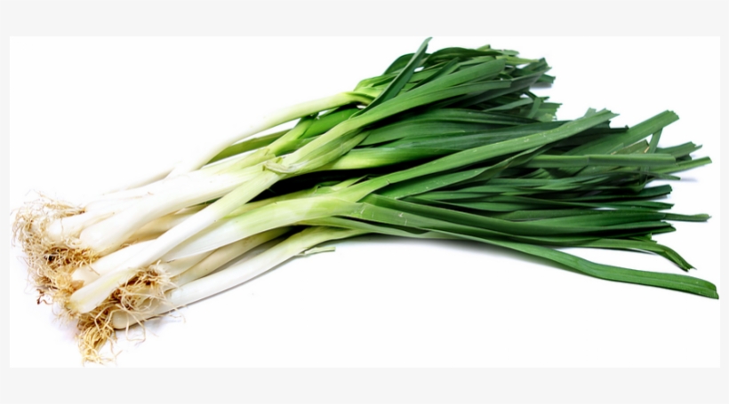 Imagens De Alho Poro, transparent png download