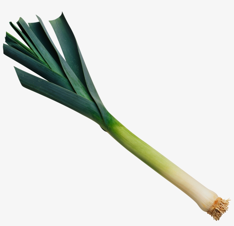 Leek Png - Leek, transparent png download
