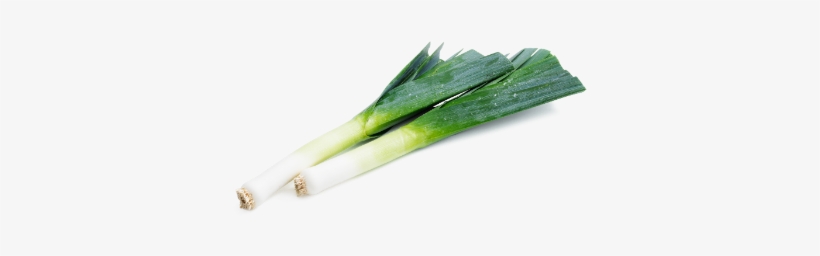 Delicate & Sweet Leeks - Leek, transparent png download