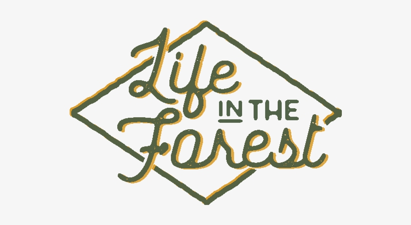 Welcome Home - Calligraphy, transparent png download