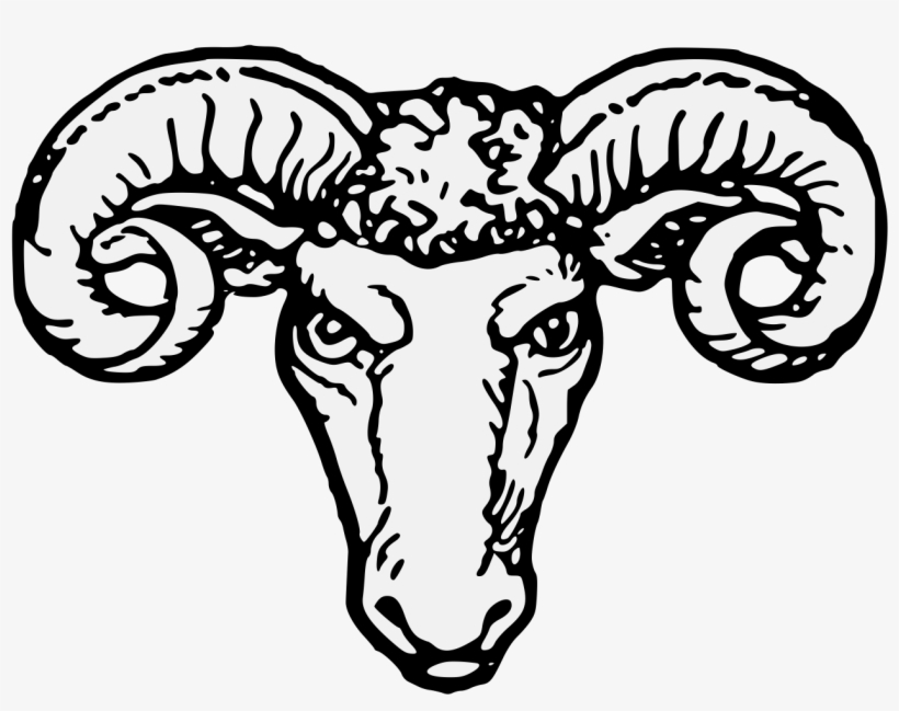 Details, Png - Portable Network Graphics, transparent png download