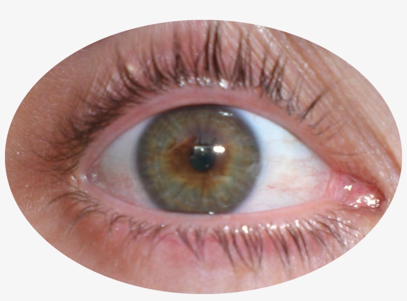 Mi Propio Ojo - Ojo Png, transparent png download