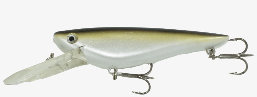 Hitch/sucker - Fish, transparent png download