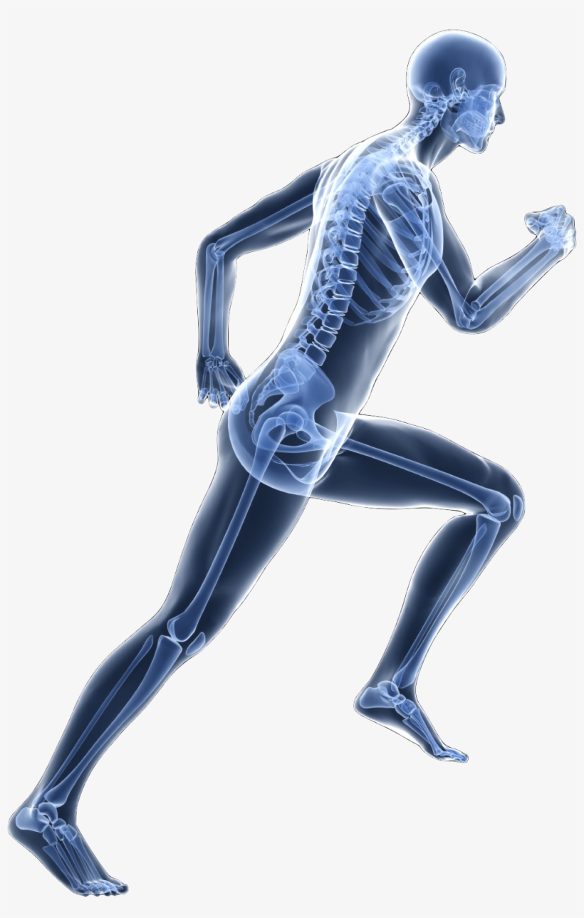 The Nervous System - Patanjali Pain Relief Oil, transparent png download