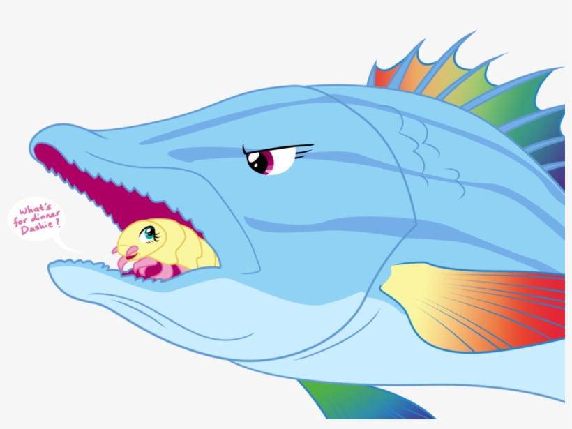 Equestria-prevails, Cymothoa Exigua, Female, Fish, - Rainbow Dash Fish, transparent png download
