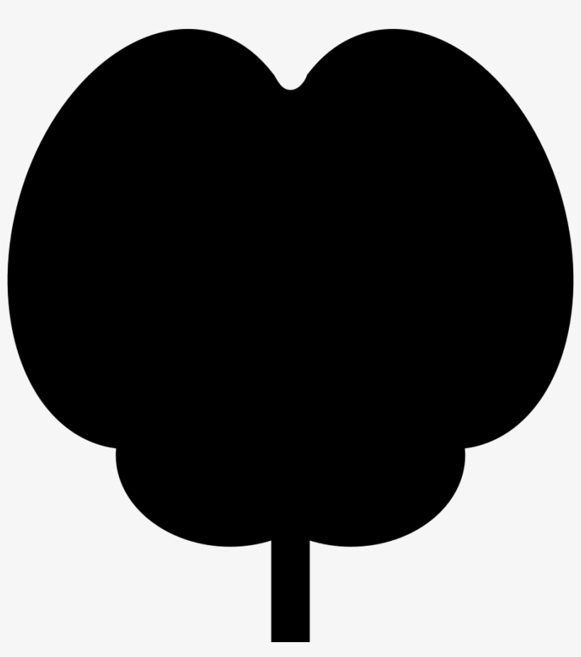 Nervous System - - Hot Air Balloon Clipart Black, transparent png download