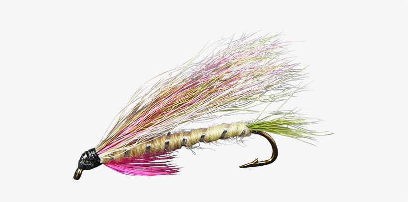 Rainbow Trout, transparent png download