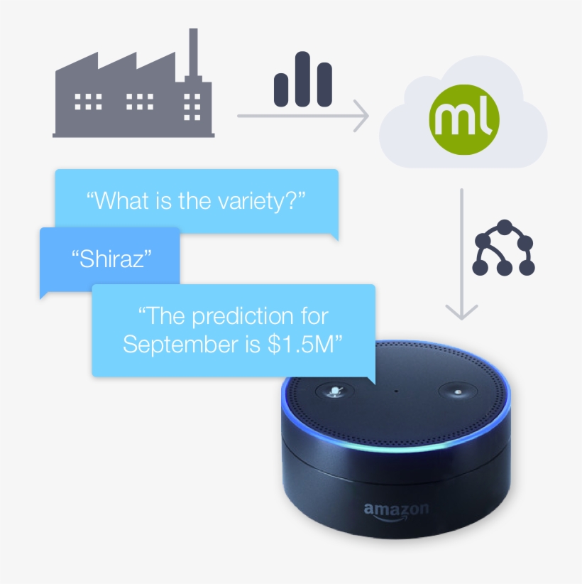 If You Already Have An Avs Device Like The Amazon Echo, - Bigml, transparent png download