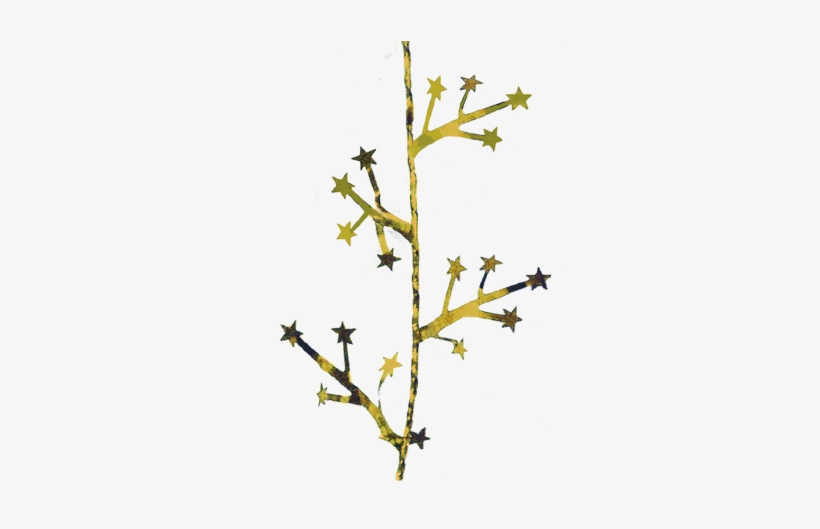Twig, transparent png download