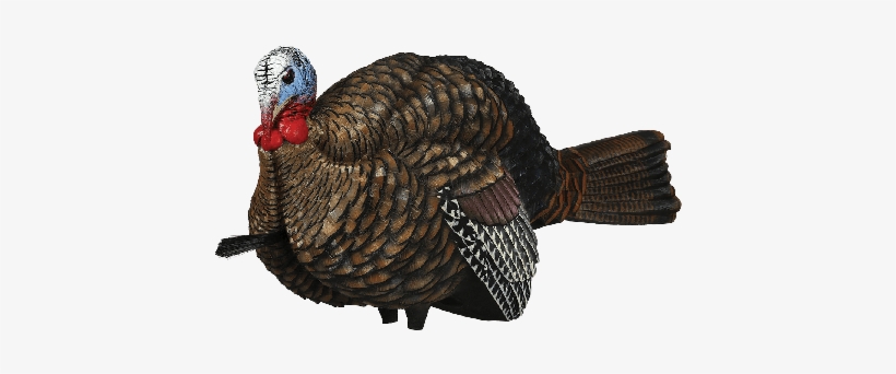 Dreamrunner Harry Potter Hogwarts Hermione Sirius Granger - Avian-x Lcd 1/2-strut Jake Turkey Decoy, transparent png download