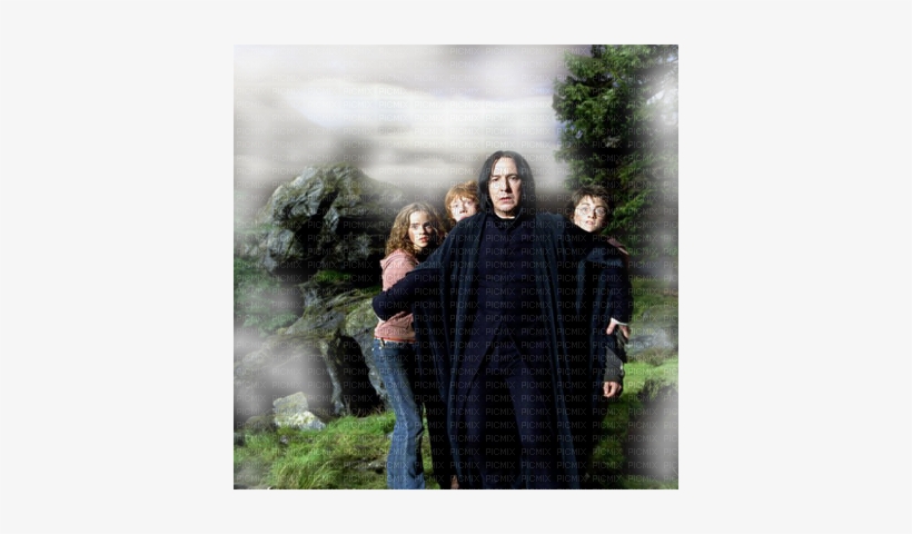 Harry Potter Snape Ron Harry Hermine - Harry Potter :: Et Le Prisonnier D''azkaban :: Dvd, transparent png download