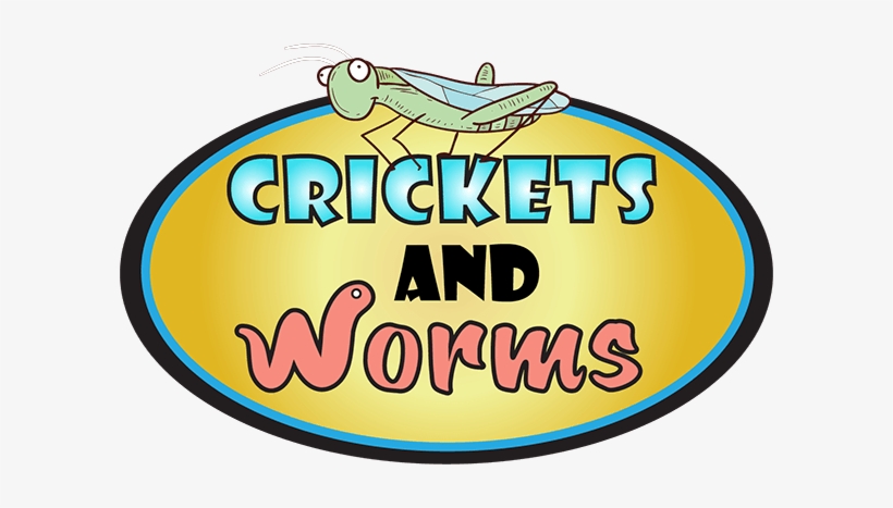 Recent Reviews - Cricket, transparent png download