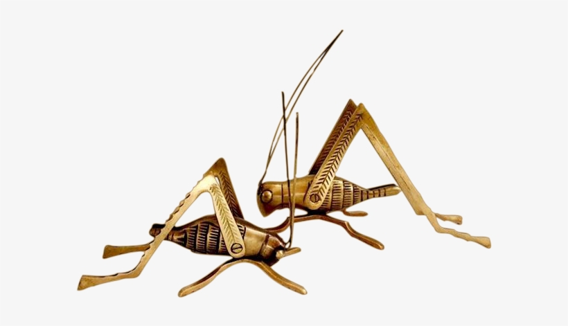 Aubrey Square Market Finds Brass Crickets - Grasshopper, transparent png download
