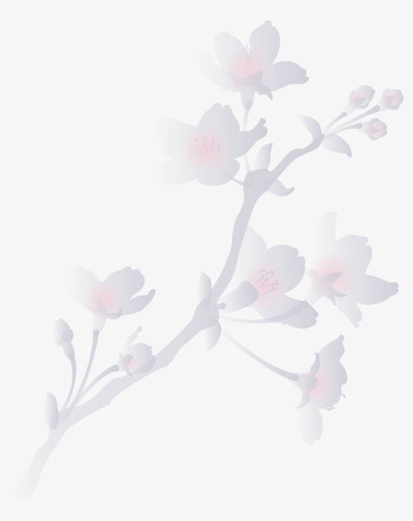 Reservation - Cherry Blossom, transparent png download