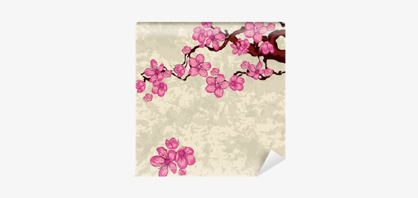 Cherry Blossom, transparent png download