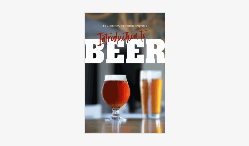 The Cicerone® Certification Program's Introduction - Green I Need You Tonight, transparent png download