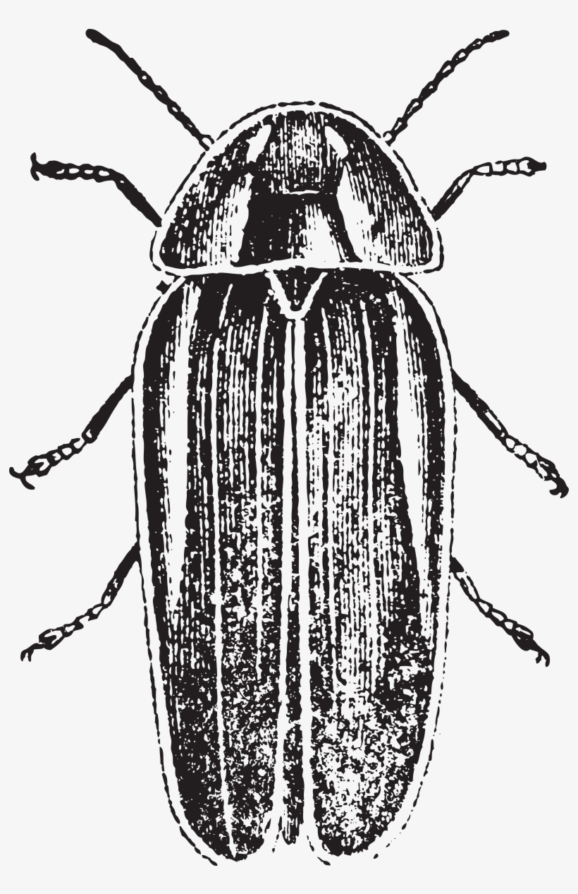 There Is Something Inherently Terrifying Thinking About - Portable Network Graphics, transparent png download