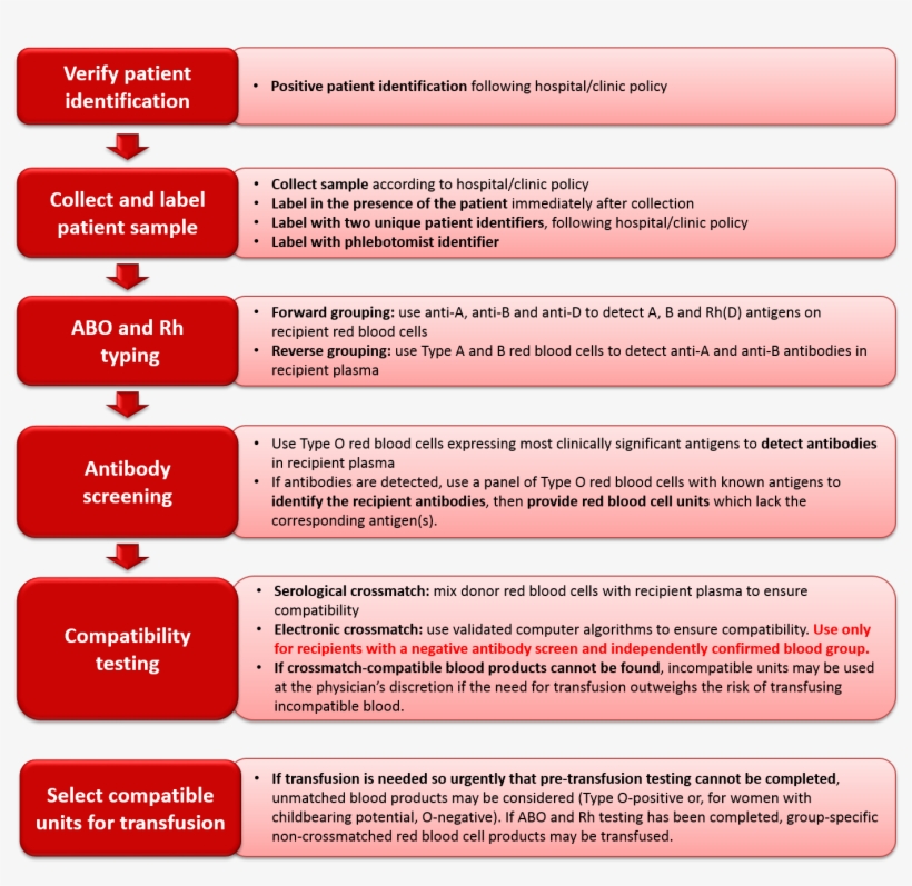 Cgtt Ch8 Fig2 Summary - Pretransfusion Testing, transparent png download