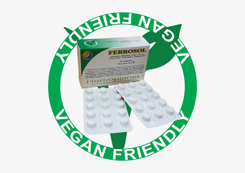 Normal Formation Of Red Blood Cells And Hemoglobin - Organ System, transparent png download