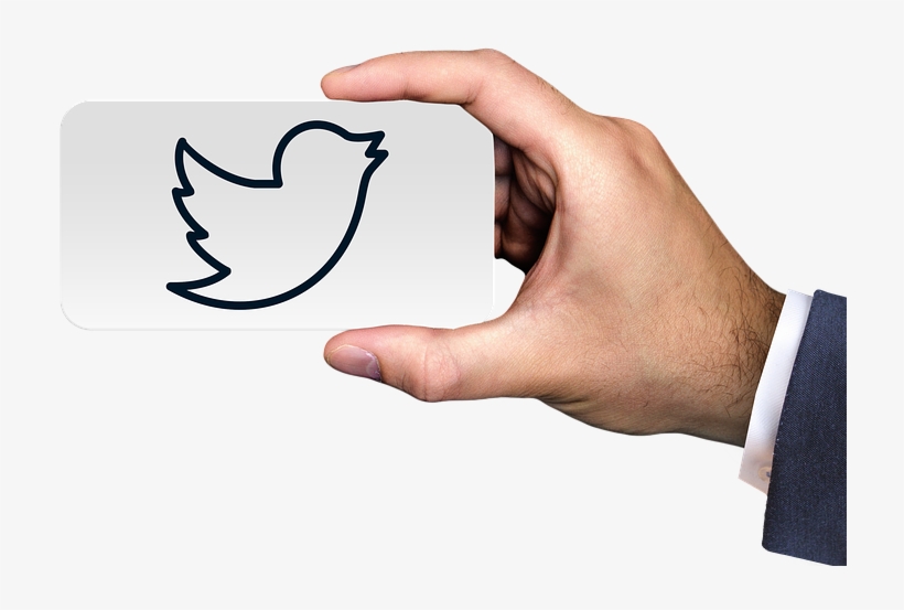 Twitter Warns All Users - Bien Immobilier, transparent png download