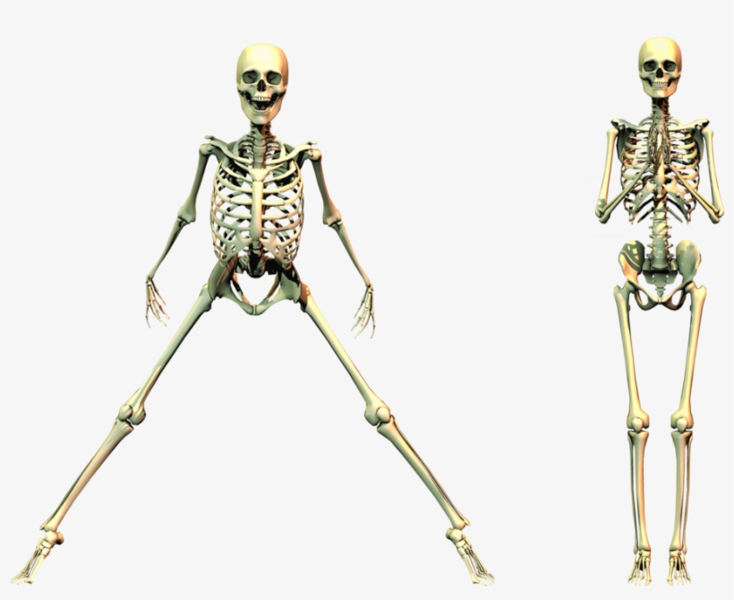Spooky Skeleton Png - Spooky Png, transparent png download
