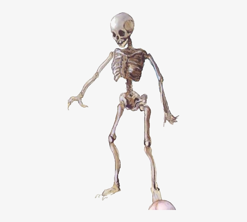 Castlevania - Skeleton - Death Battle Fanon, transparent png download