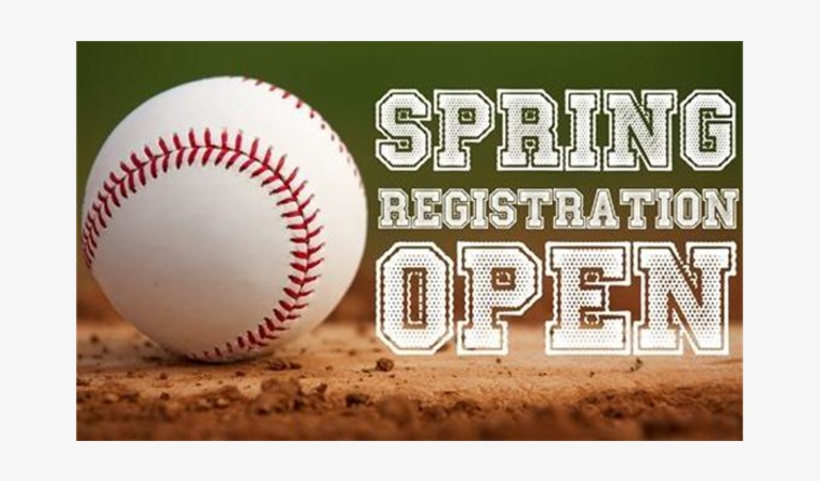 Blossom Valley Pony Baseball - Baseball Registration Is Open, transparent png download