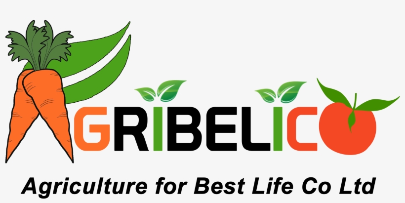 Is An Agriculture Company Supplying Different Agricultural - Illustration, transparent png download