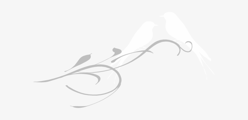 Love Birds Png White, transparent png download