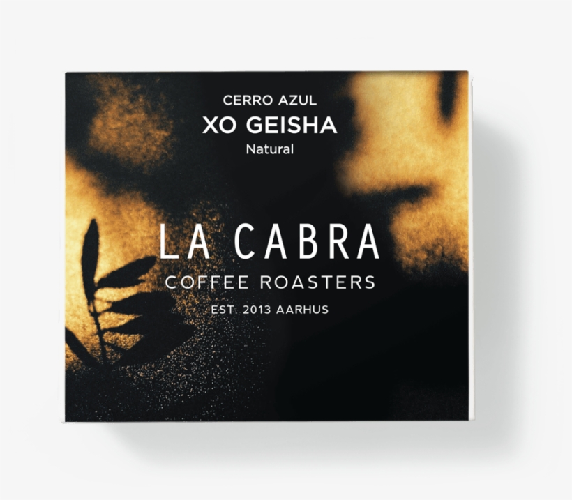 Xo Geisha 150g - Geisha, transparent png download