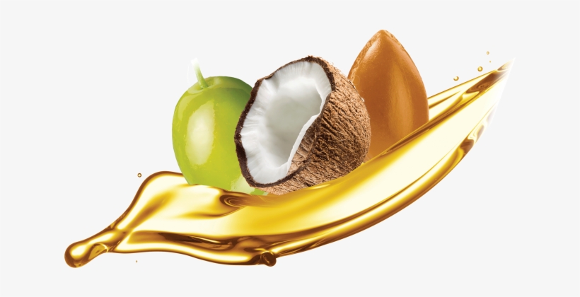 N - Cha's Organics Light Organic Coconut Milk, transparent png download