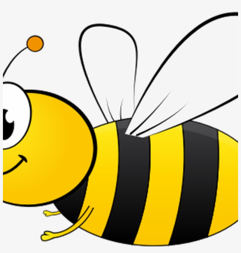Honey Bee Pictures Clip Art Honey Bee Clipart At Getdrawings - Ultimate Guide To Beekeeping, transparent png download