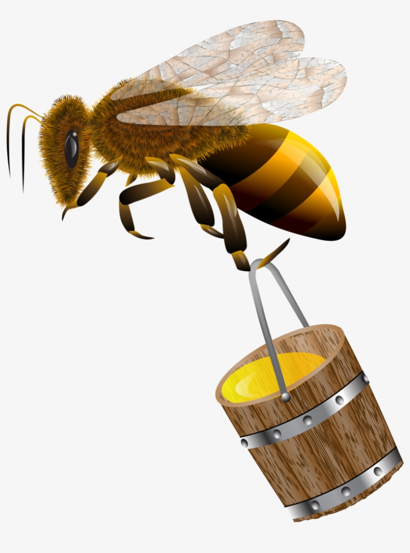 Bees🐝bears🐝honey - Bee, transparent png download