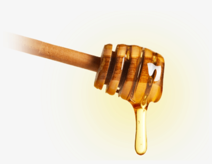 Honey Transparent Images - Honey Png, transparent png download