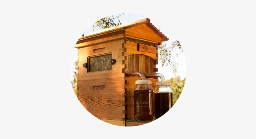 Less Labour, More Love - Flow Hive, transparent png download